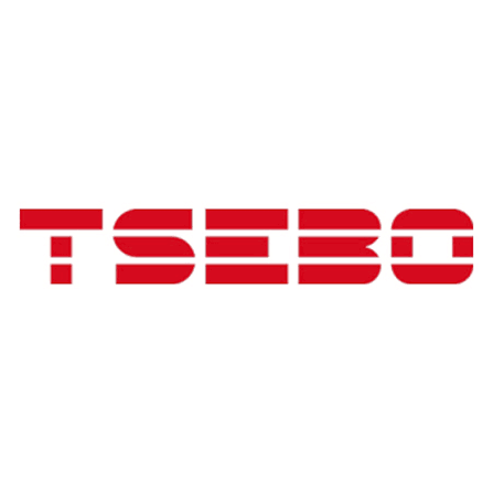 Tsebo Solutions Group