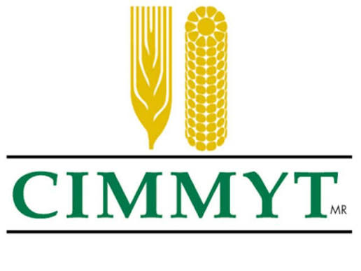 International Maize and Wheat Improvement Center (CIMMYT)